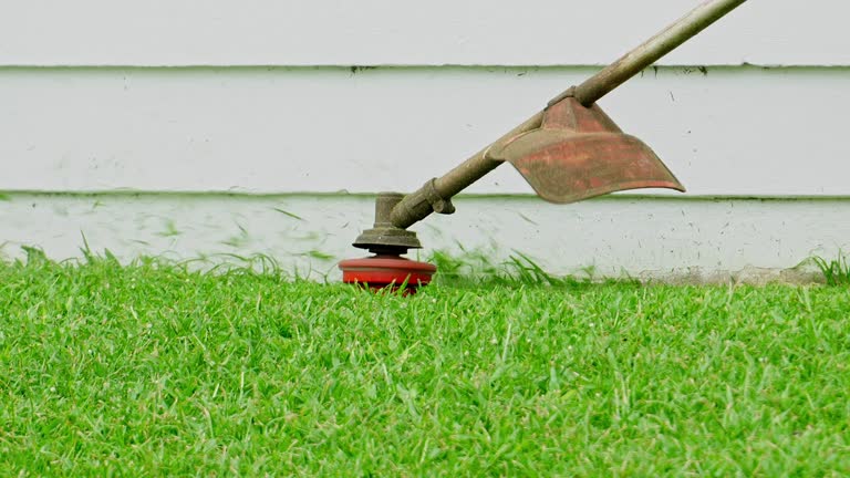 Best Lawn Disease Treatment  in Pleasant Hills, MD